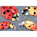 Carolines Treasures Lady Bug Multiple Fabric Placemat 8876PLMT